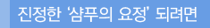 진정한 '샴푸의 요정' 되려면