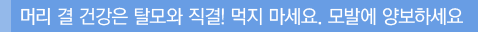 머리결 건강은 탈모와 직결! 먹지 마세요. 모발에 양보하세요