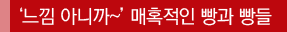 '느낌 아니까~'매혹적인 빵과 빵들
